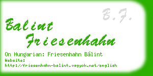 balint friesenhahn business card